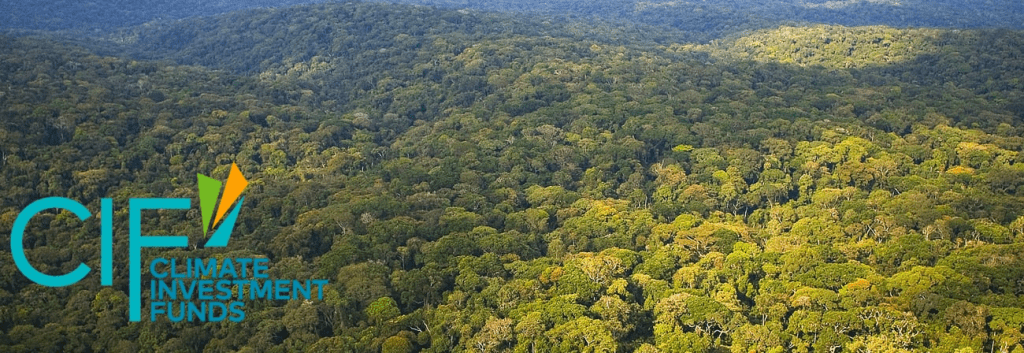 Egypt and Other African Countries Dominate List of Countries to Benefit from $1B Decarbonisation Initiative